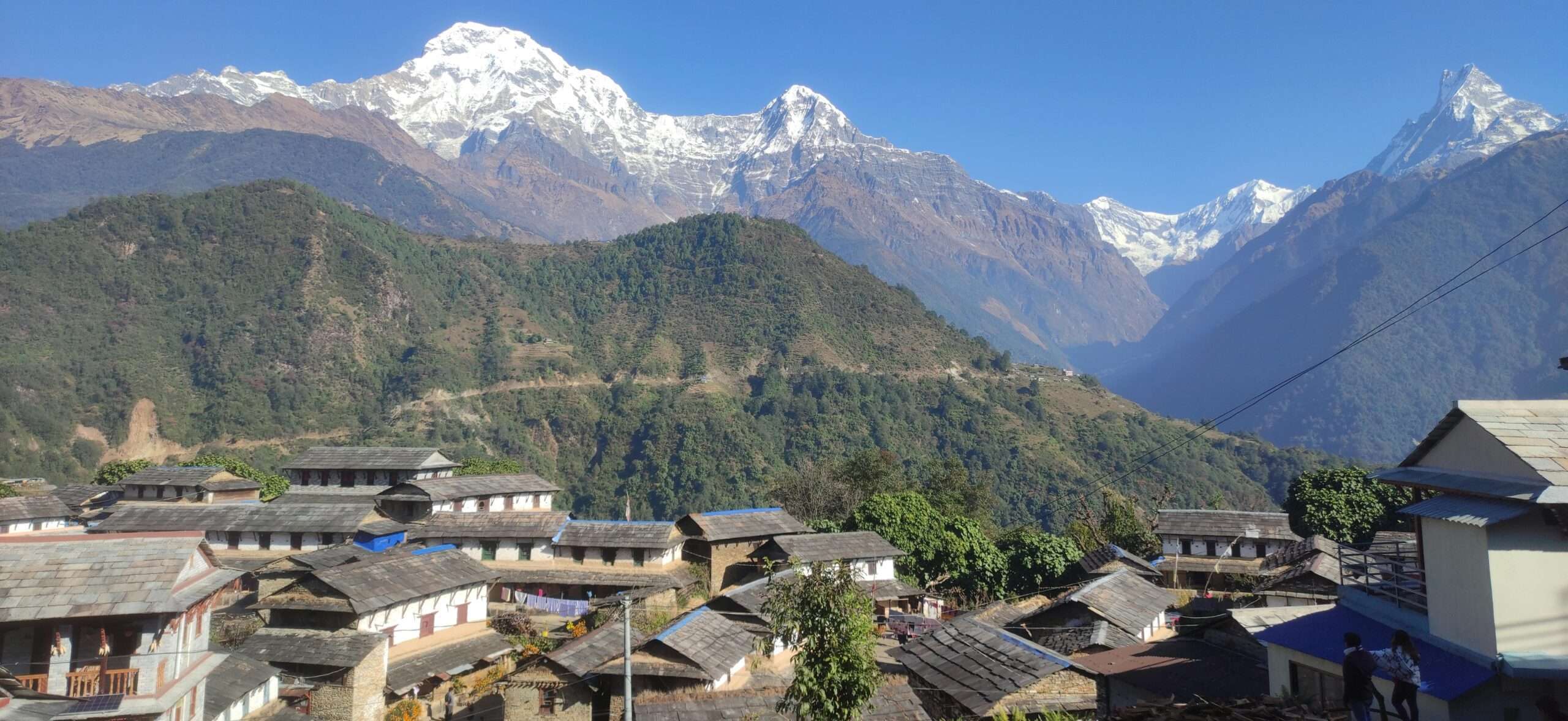 Home Stay Nepal Himalayan Yak Trek and Adventure Pvt Ltd