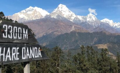 Mohare Danda Hill Himalayan Yak Trek and Adventure Pvt Ltd