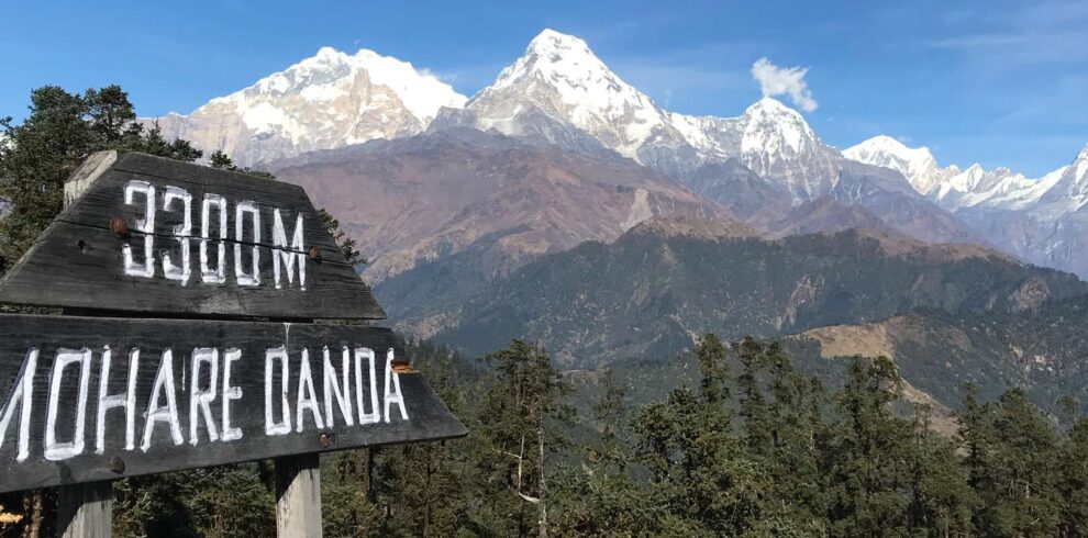 Mohare Danda Hill Himalayan Yak Trek and Adventure Pvt Ltd